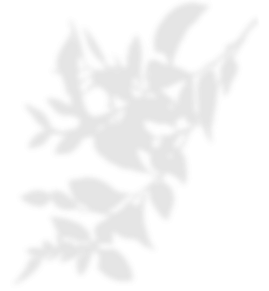 葉っぱの陰