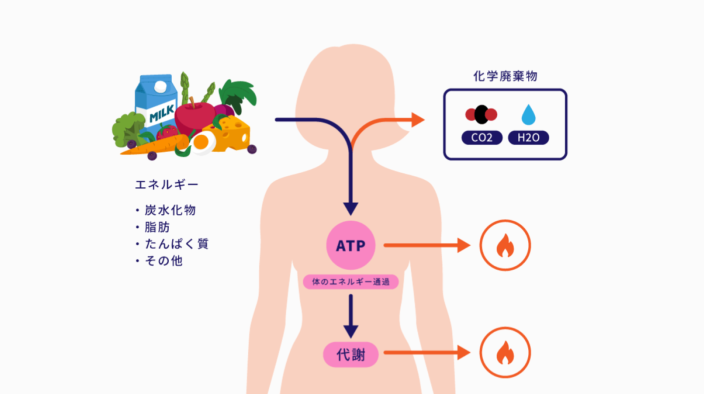 池谷敏郎医師の画像